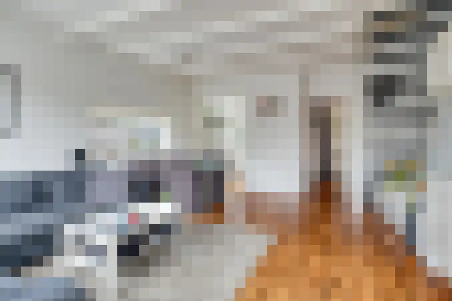Kikkerveen 215 Spijkenisse thumbnail 7