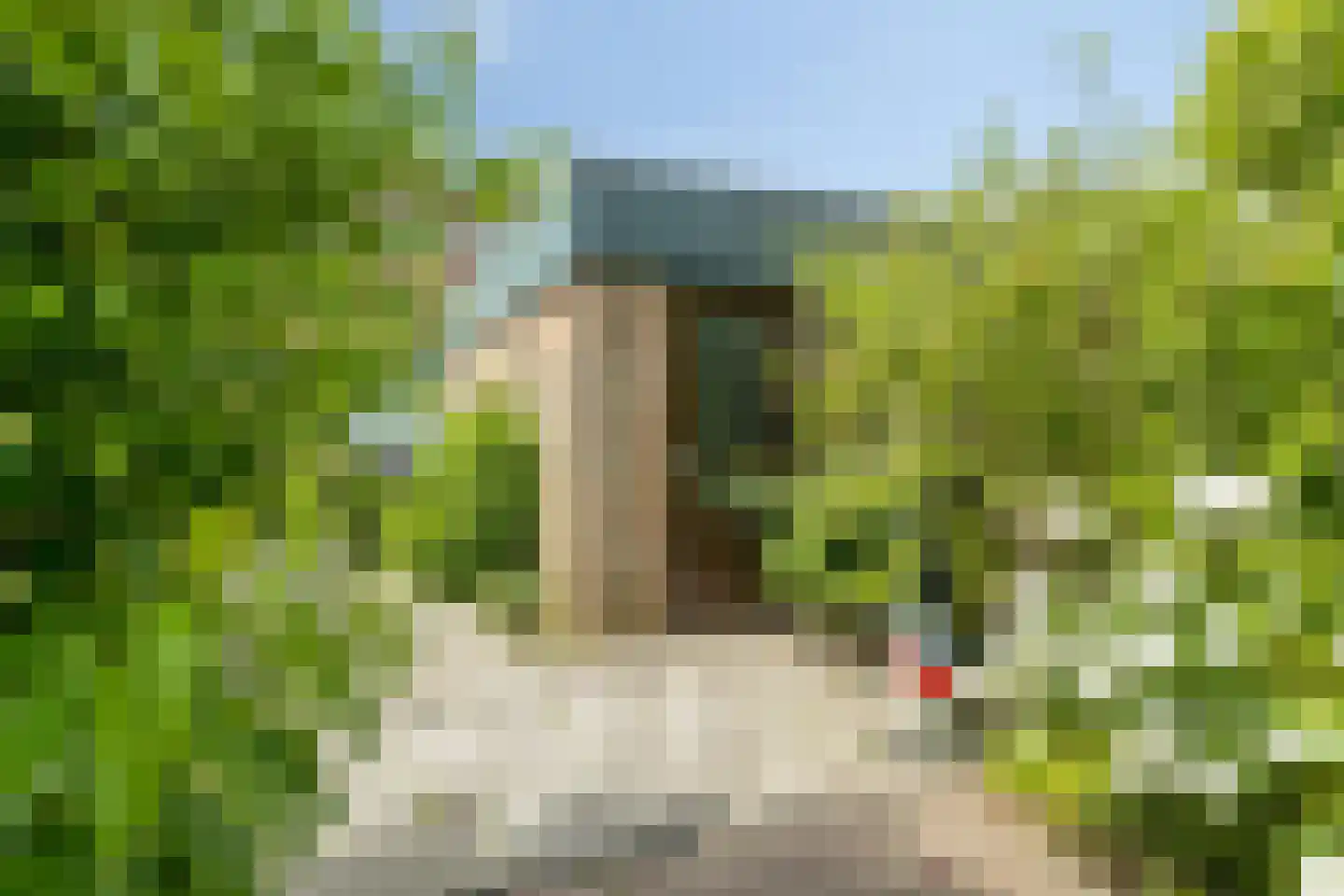 Kikkerveen 255 Spijkenisse thumbnail 29