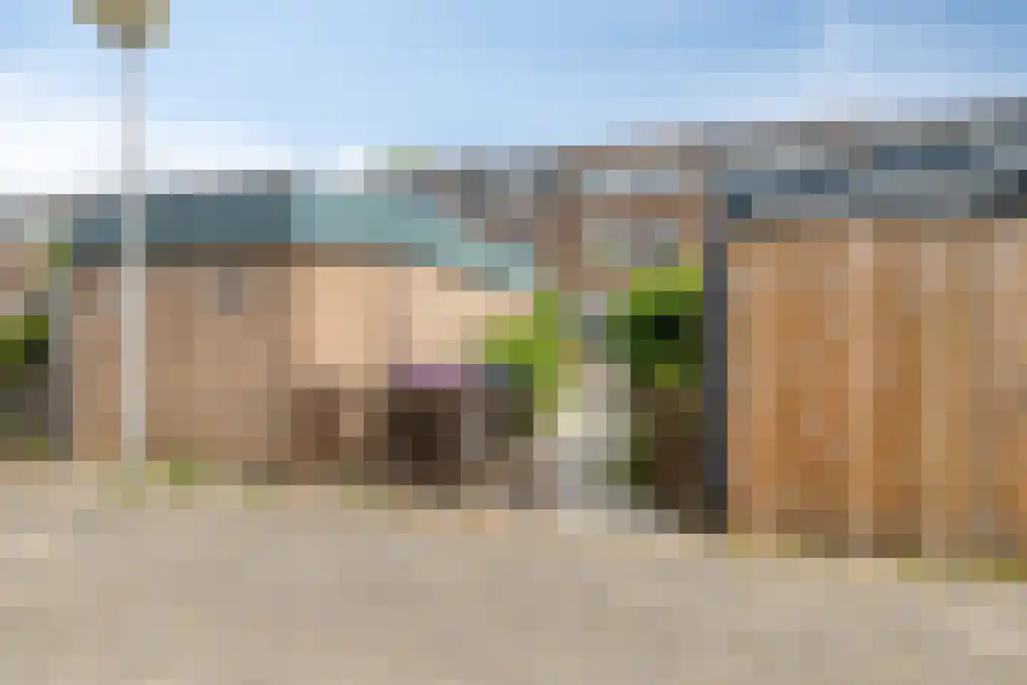 Kikkerveen 255 Spijkenisse thumbnail 30