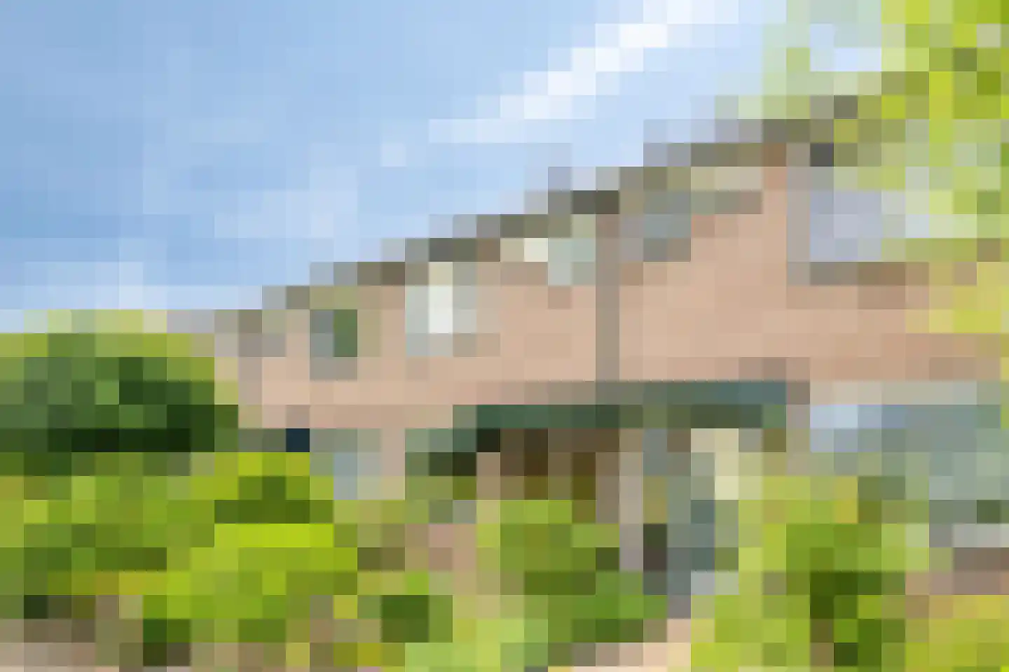 Kikkerveen 255 Spijkenisse thumbnail 31