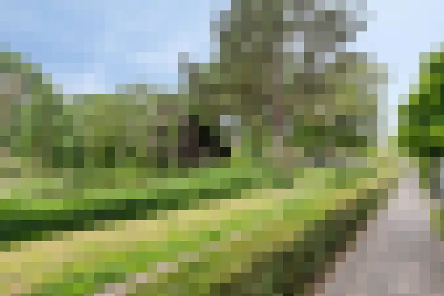 Kikkerveen 255 Spijkenisse thumbnail 35