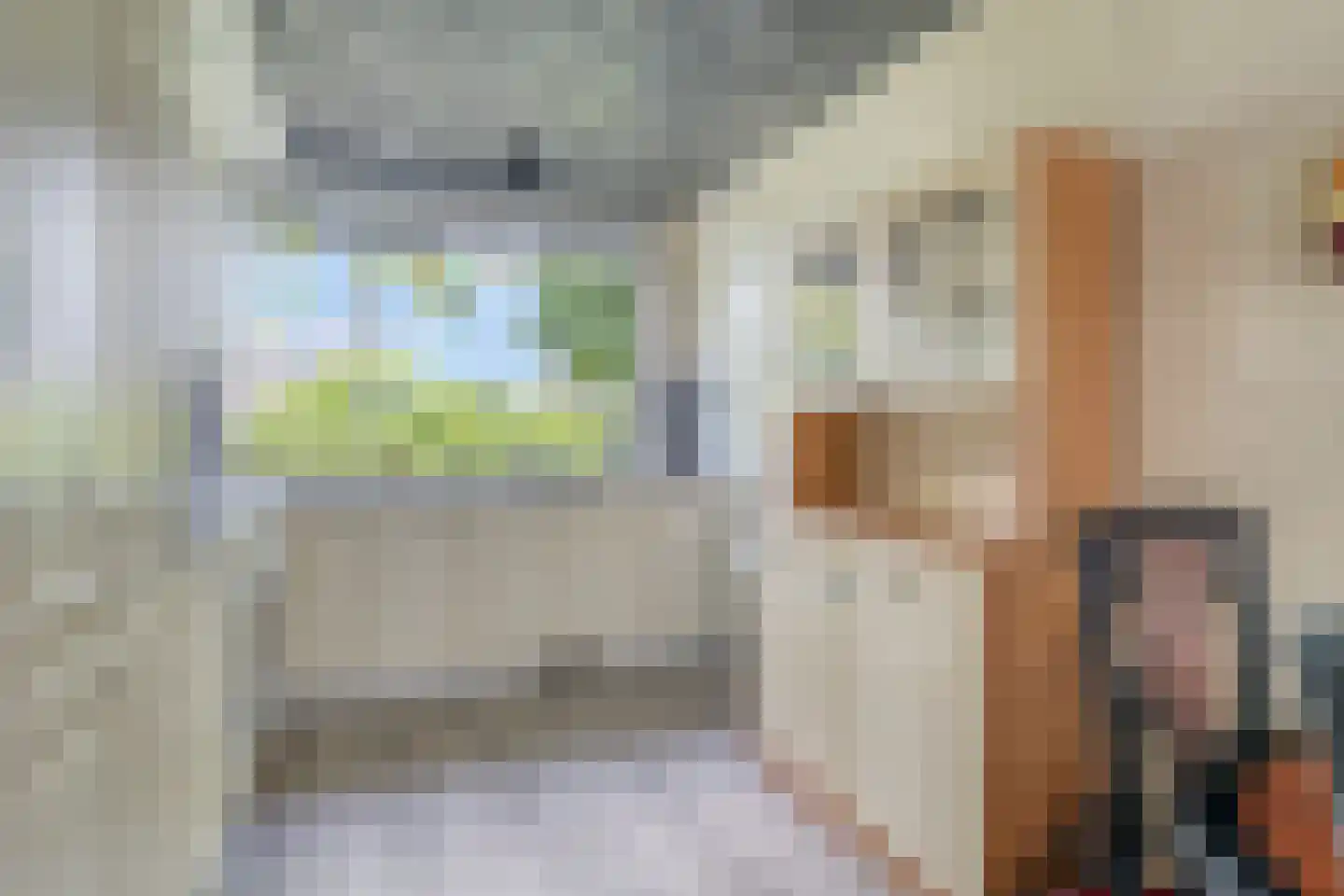 Kikkerveen 255 Spijkenisse thumbnail 6