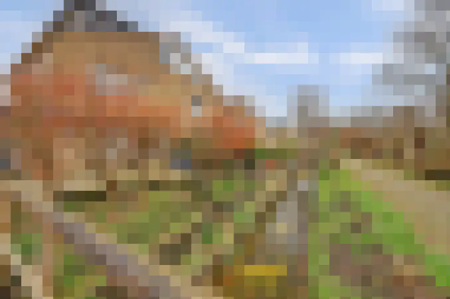 Kikkerveen 349 Spijkenisse thumbnail 47