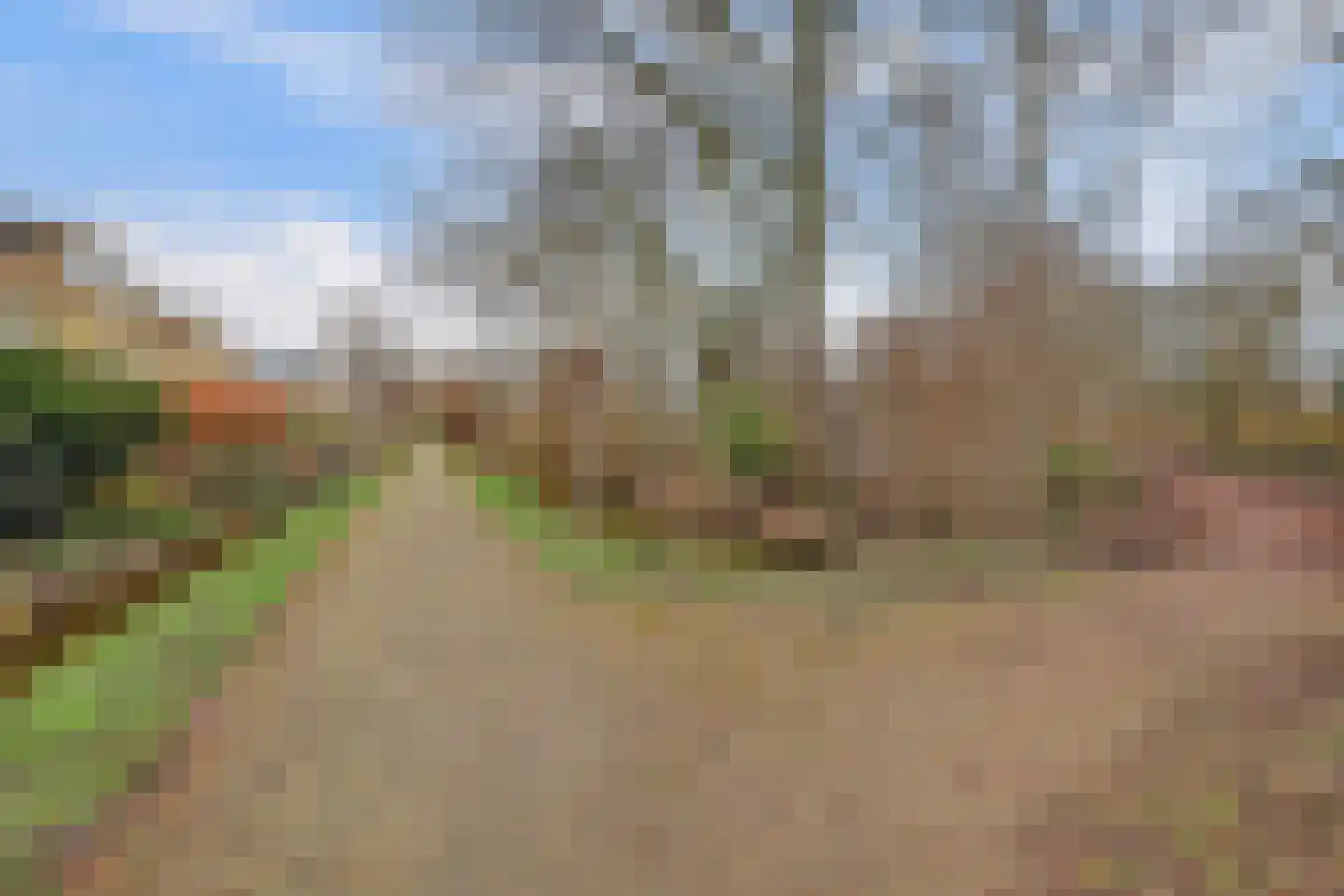 Kikkerveen 349 Spijkenisse thumbnail 49