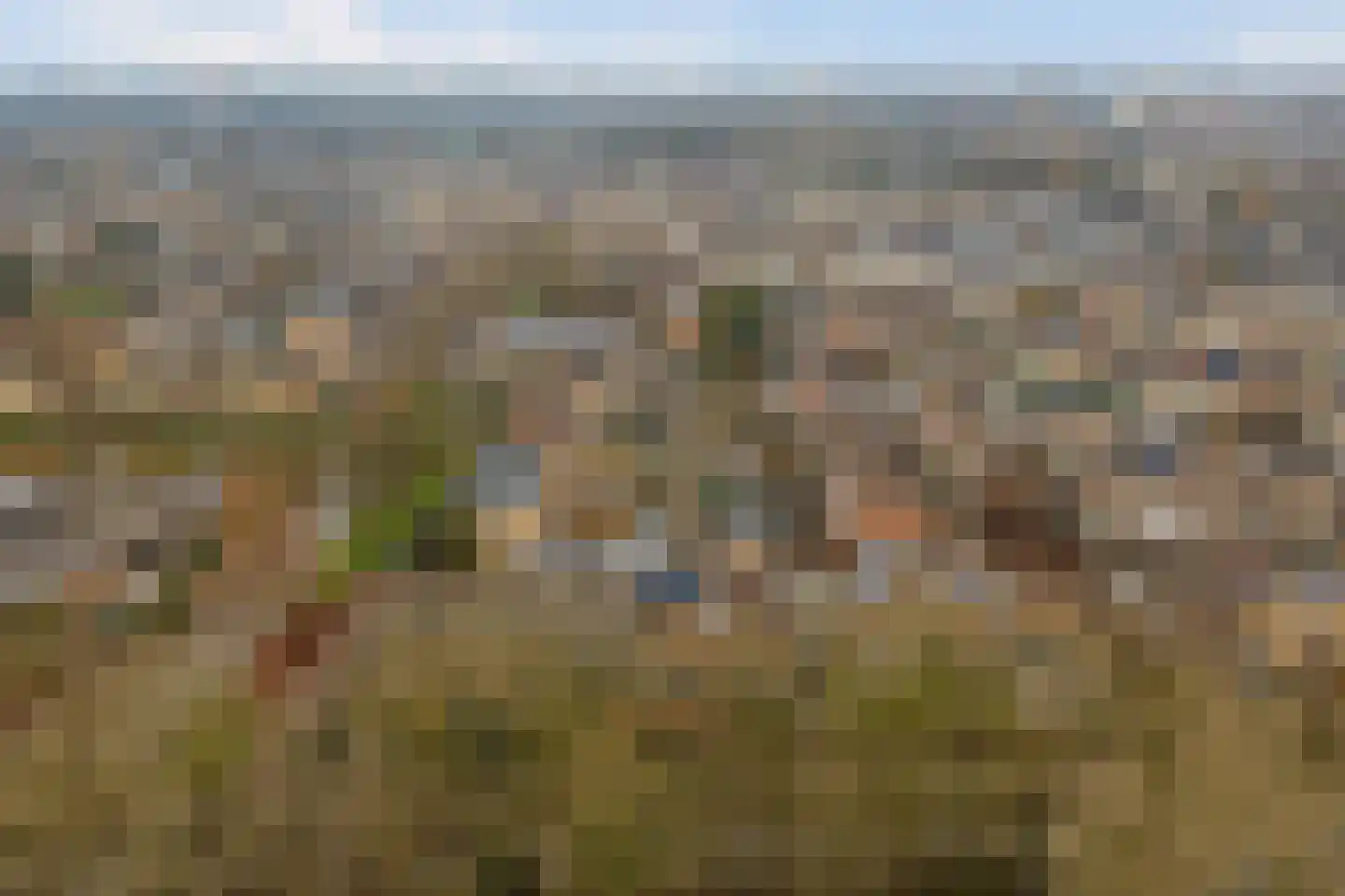Kikkerveen 349 Spijkenisse thumbnail 51