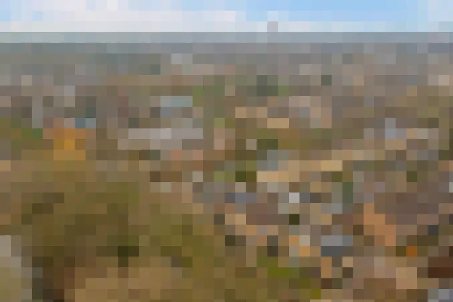 Kikkerveen 349 Spijkenisse thumbnail 52