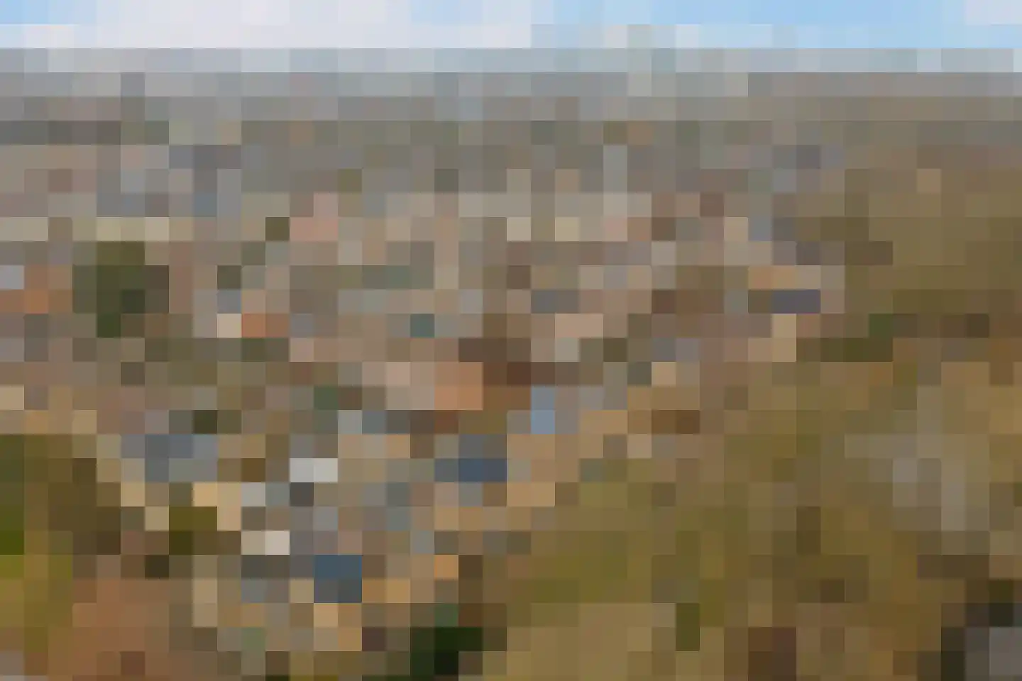 Kikkerveen 349 Spijkenisse thumbnail 53