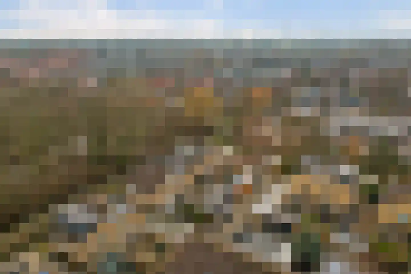 Kikkerveen 349 Spijkenisse thumbnail 56