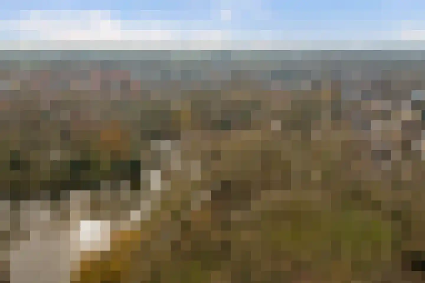 Kikkerveen 349 Spijkenisse thumbnail 57