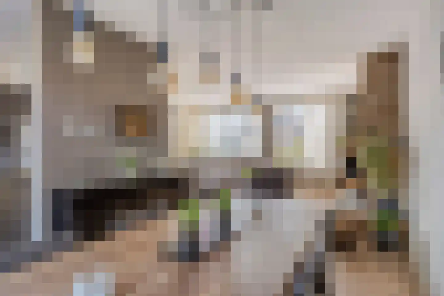 Kikkerveen 370 Spijkenisse thumbnail 10