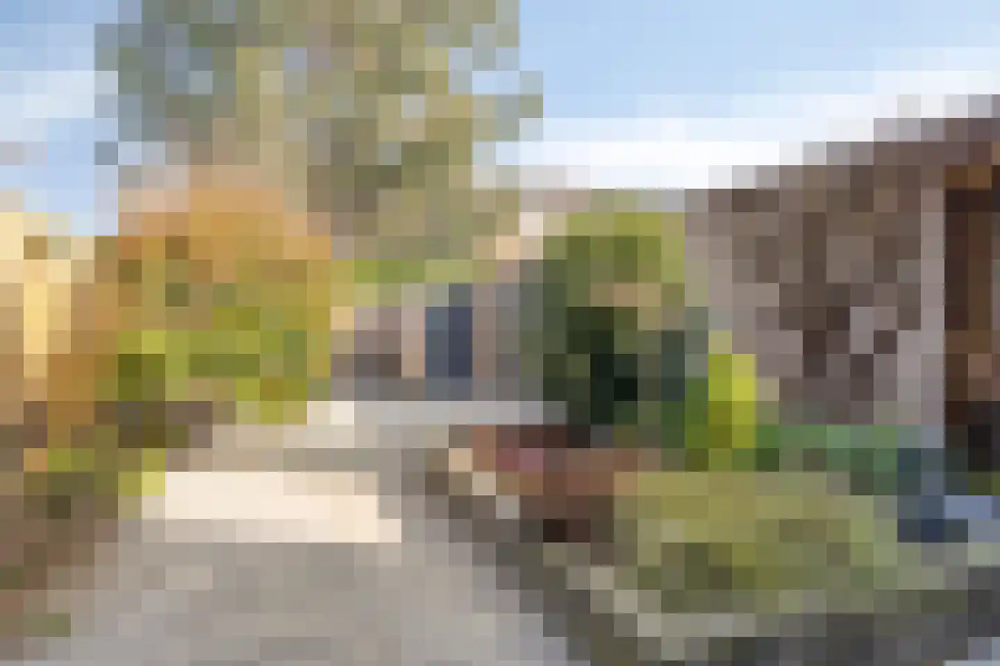 Kikkerveen 370 Spijkenisse thumbnail 34
