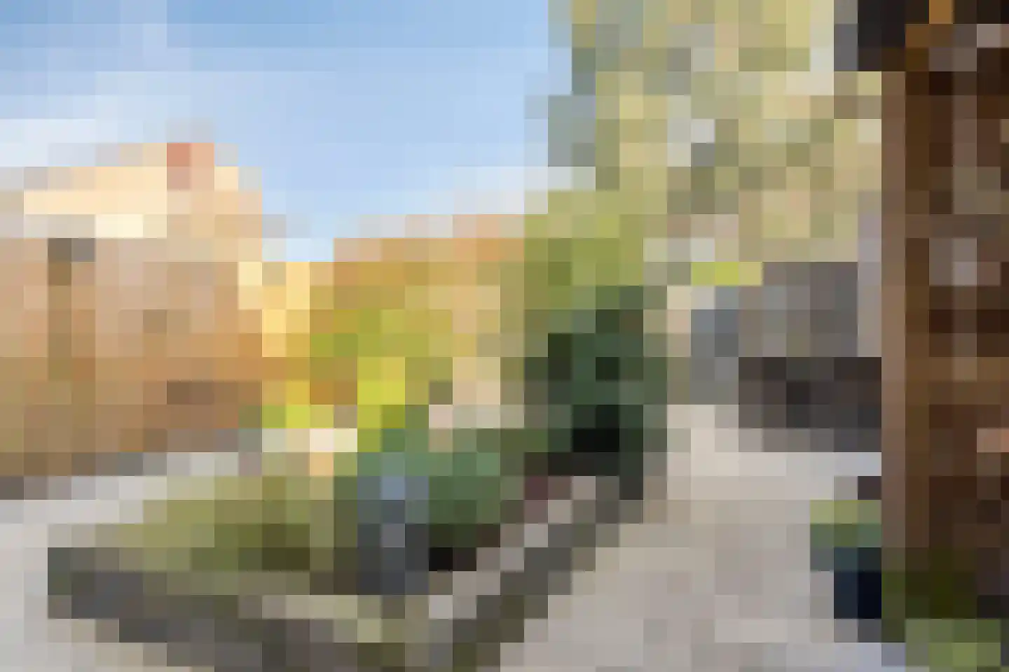 Kikkerveen 370 Spijkenisse thumbnail 35
