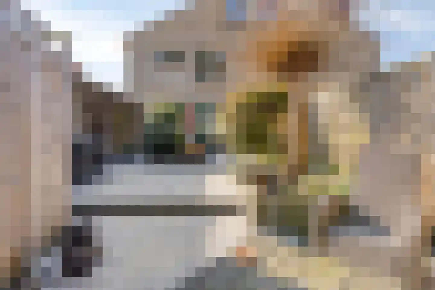 Kikkerveen 370 Spijkenisse thumbnail 37