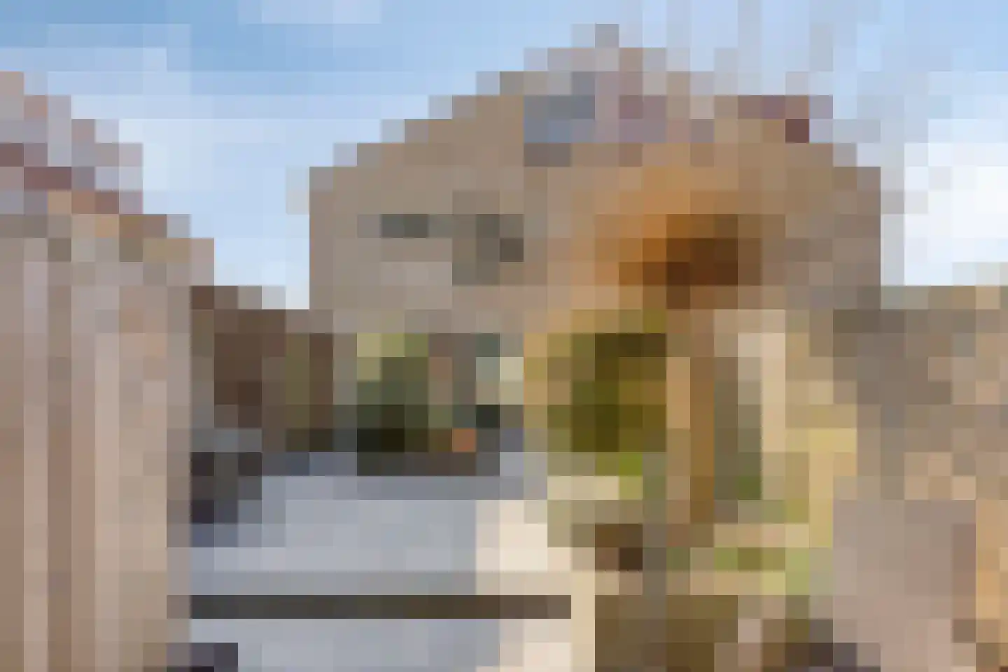 Kikkerveen 370 Spijkenisse thumbnail 38