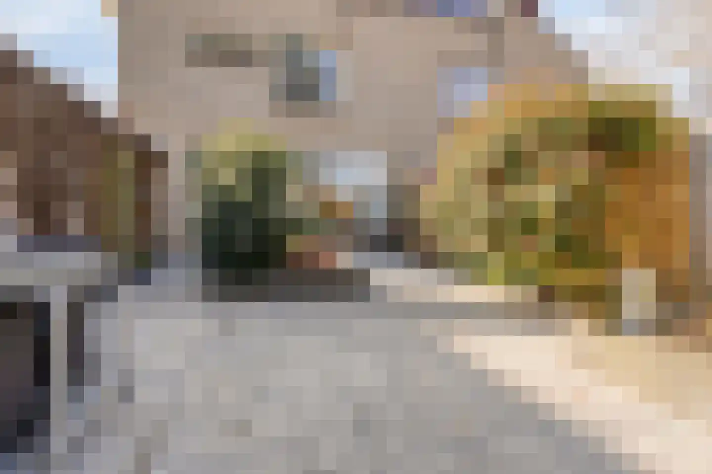 Kikkerveen 370 Spijkenisse thumbnail 39