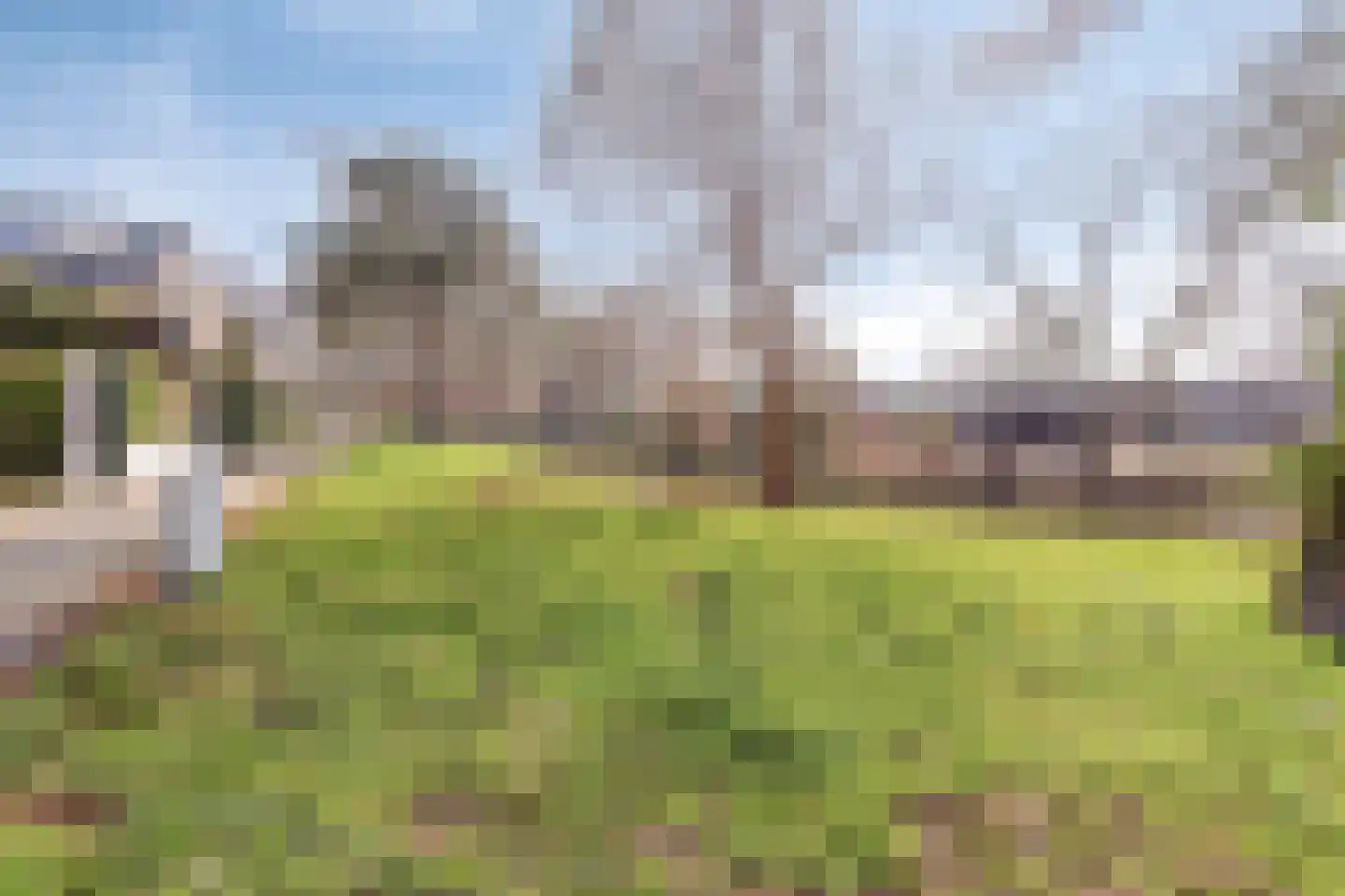 Kikkerveen 370 Spijkenisse thumbnail 43