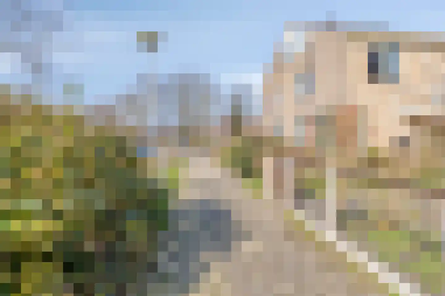 Kikkerveen 370 Spijkenisse thumbnail 45