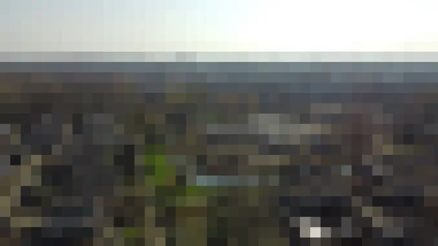 Kikkerveen 370 Spijkenisse thumbnail 48