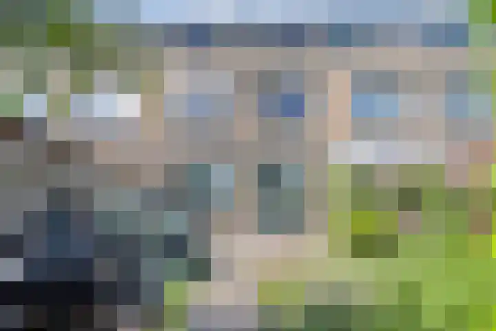 Kikkerveen 417 Spijkenisse thumbnail 24