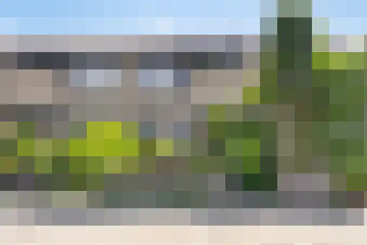 Kikkerveen 417 Spijkenisse thumbnail 33