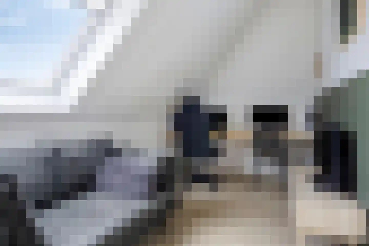 Kikstraat 14 Veenendaal thumbnail 30
