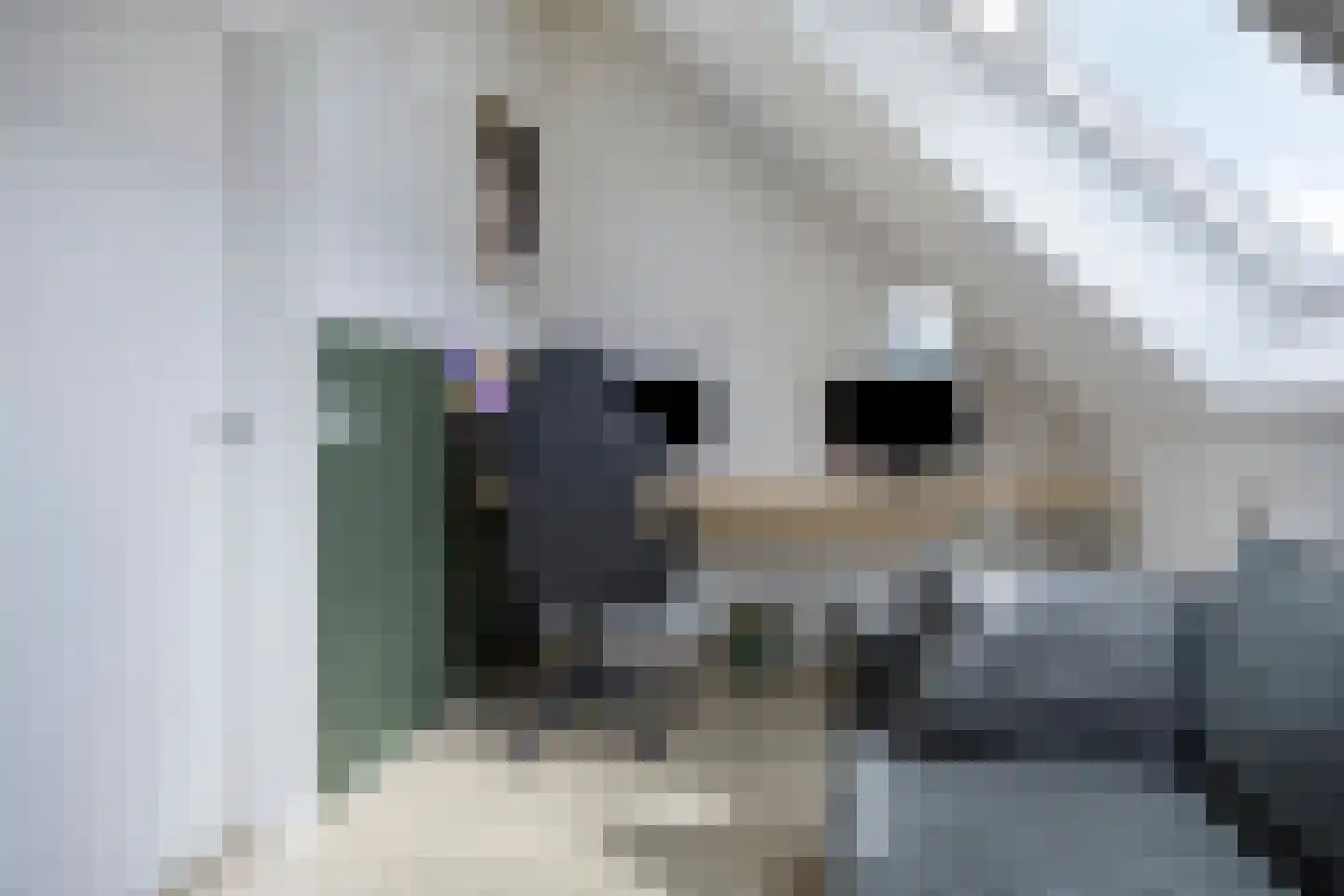 Kikstraat 14 Veenendaal thumbnail 31
