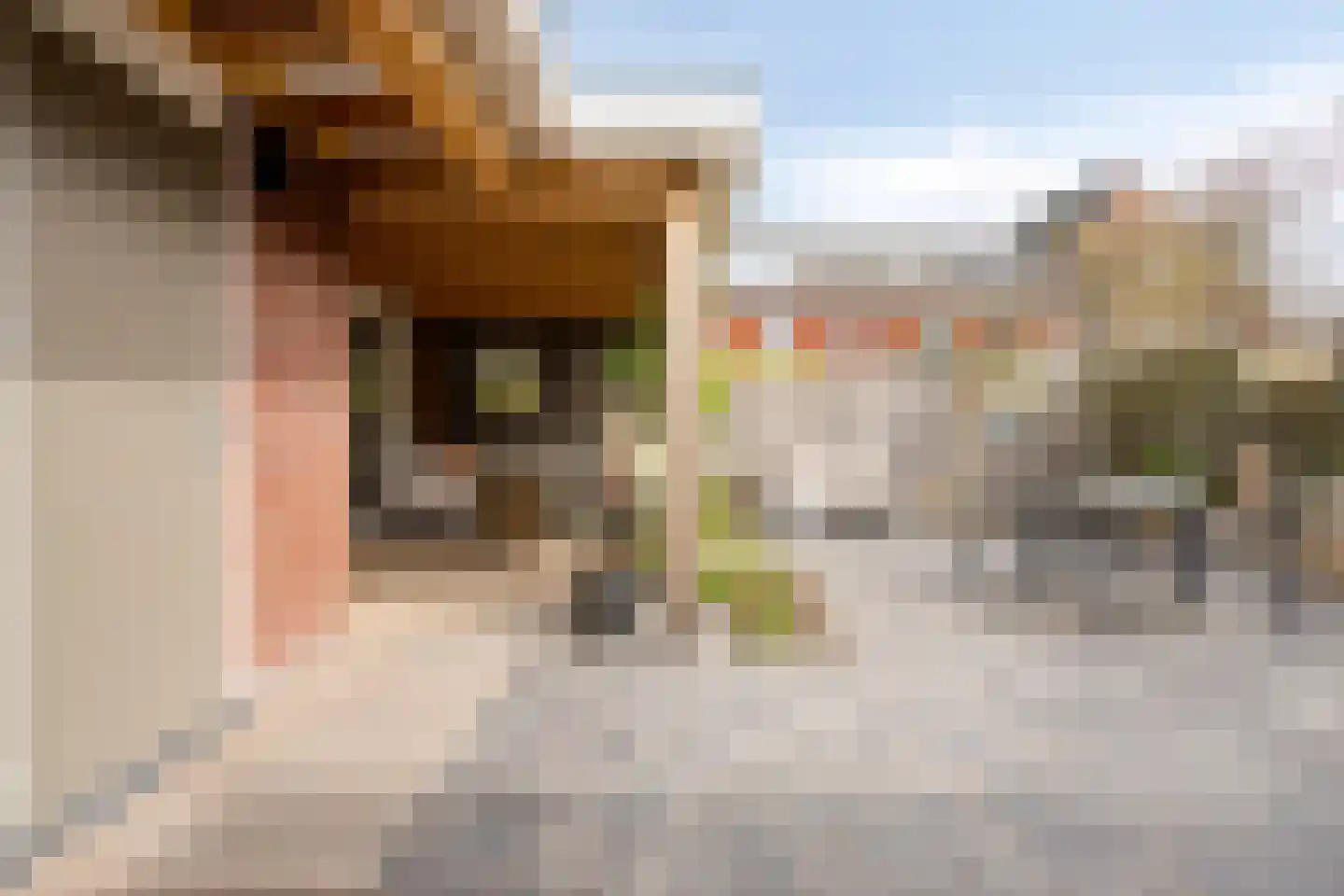Kikstraat 14 Veenendaal thumbnail 32