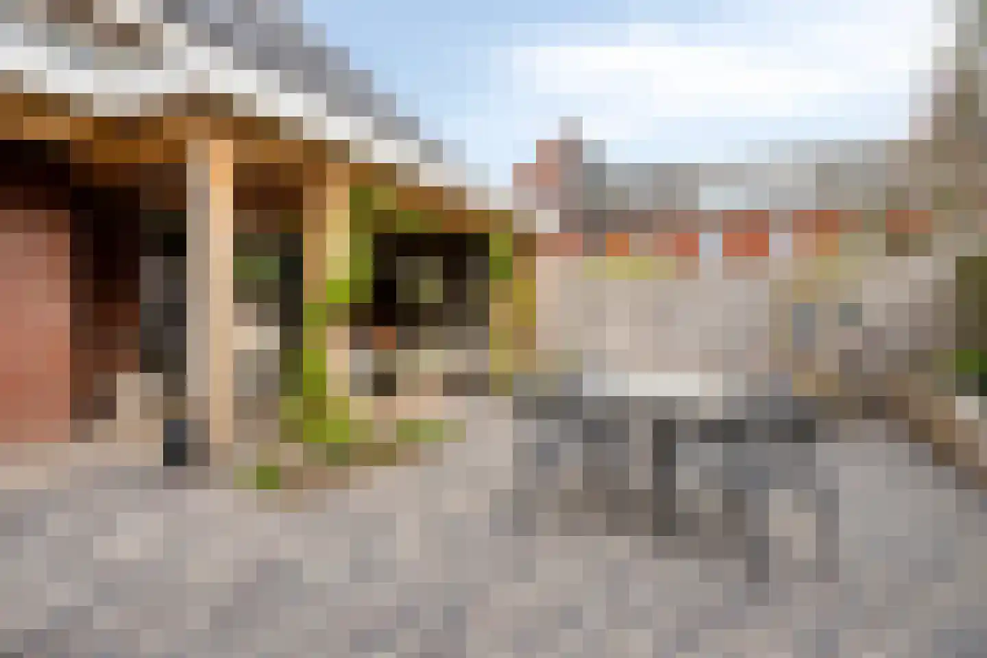 Kikstraat 14 Veenendaal thumbnail 33