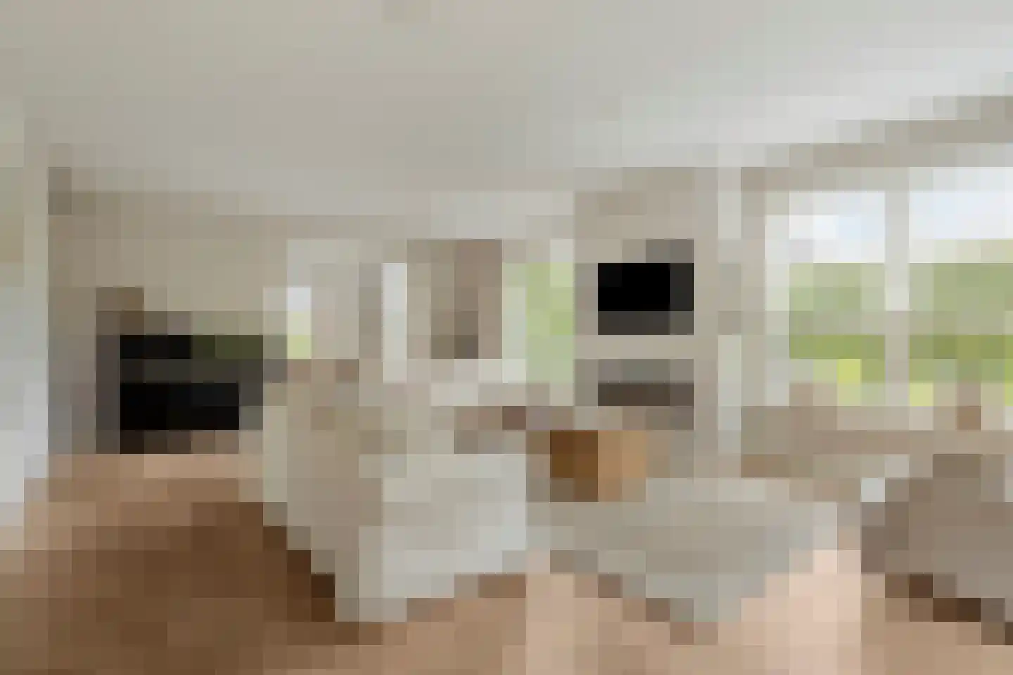 Kikstraat 35 Veenendaal thumbnail 16