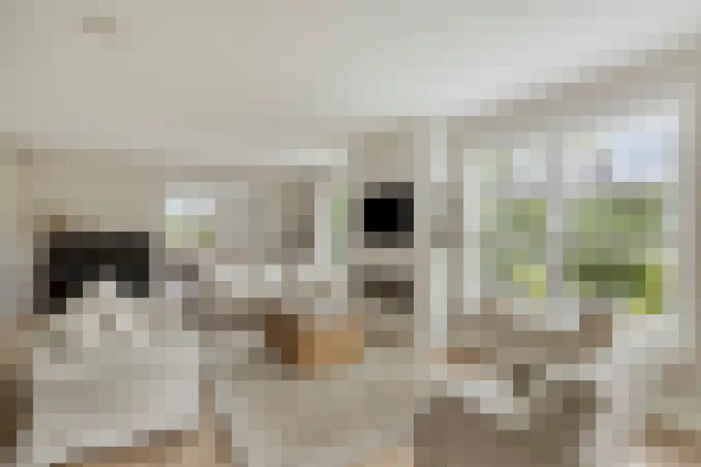 Kikstraat 35 Veenendaal thumbnail 18
