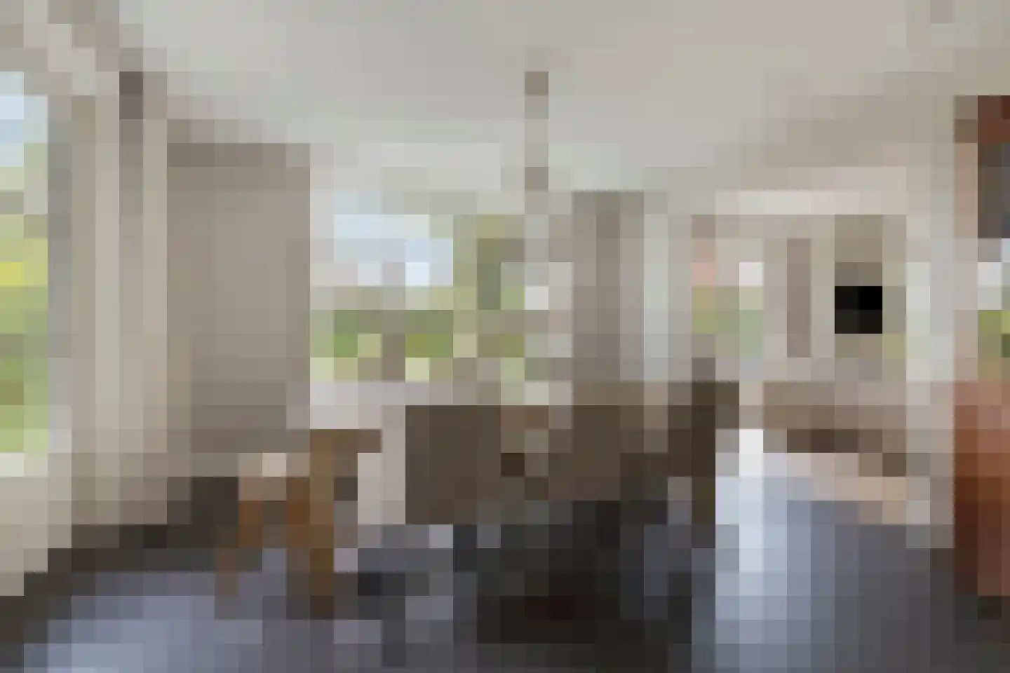 Kikstraat 35 Veenendaal thumbnail 26