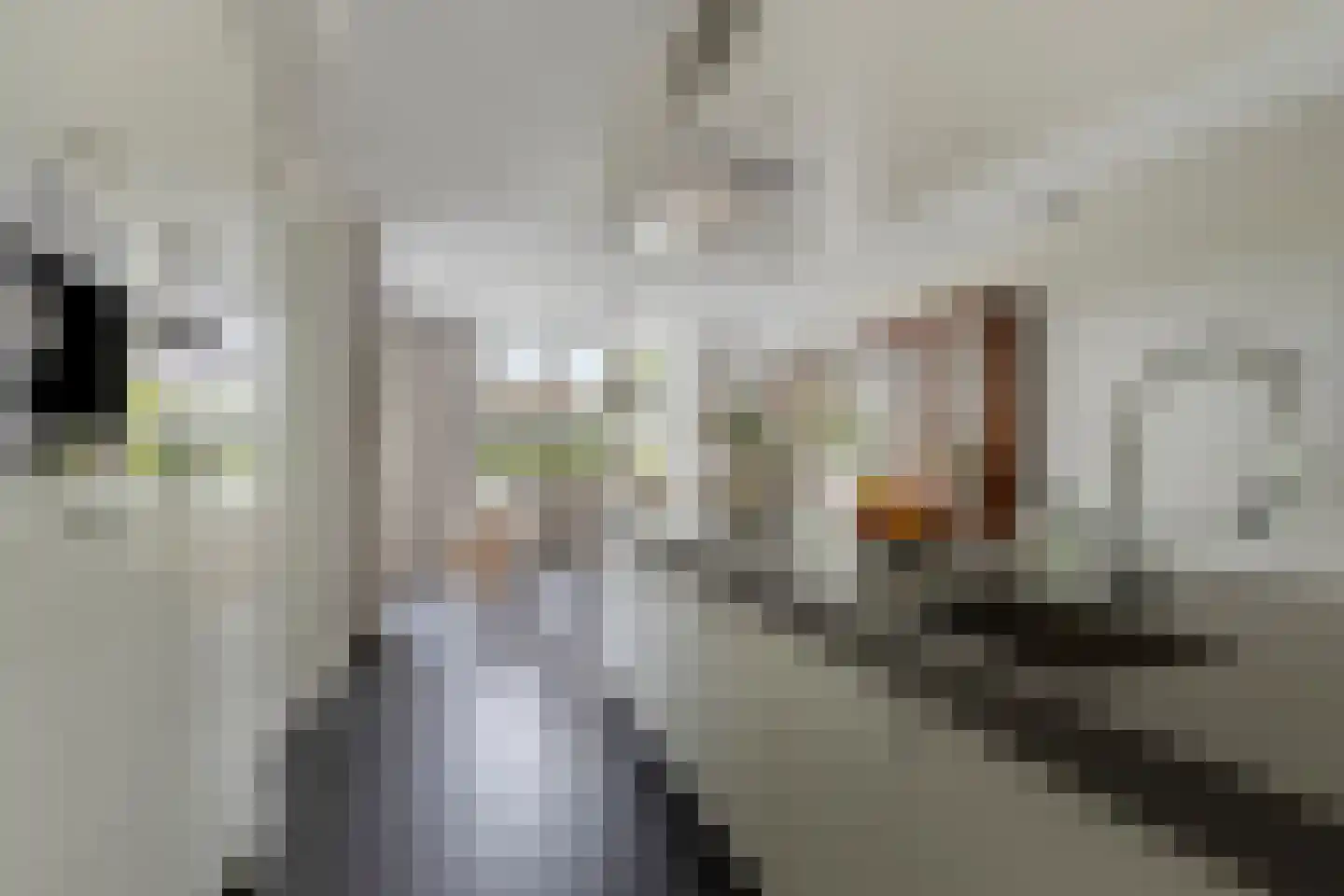 Kikstraat 35 Veenendaal thumbnail 30