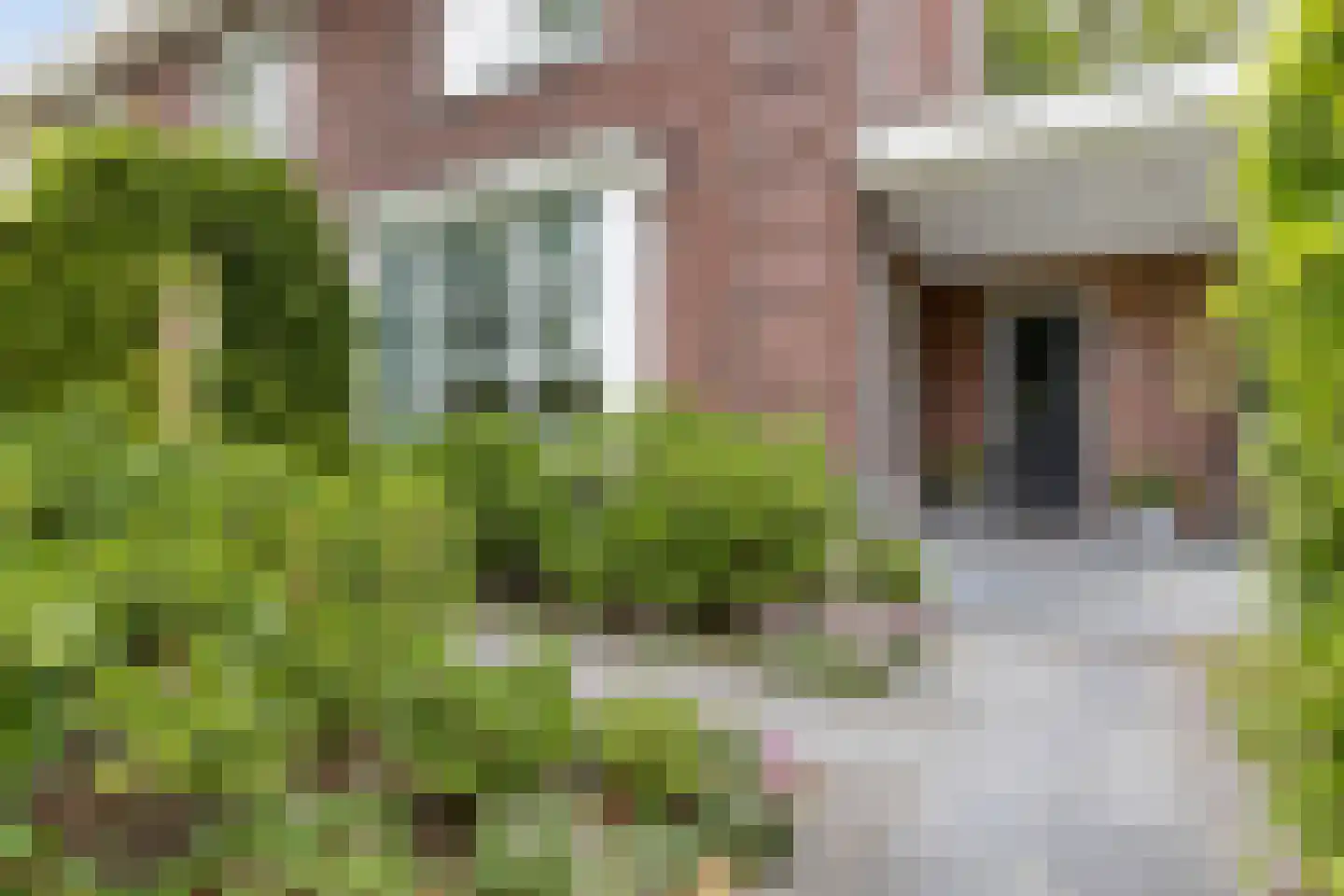 Kikstraat 35 Veenendaal thumbnail 49