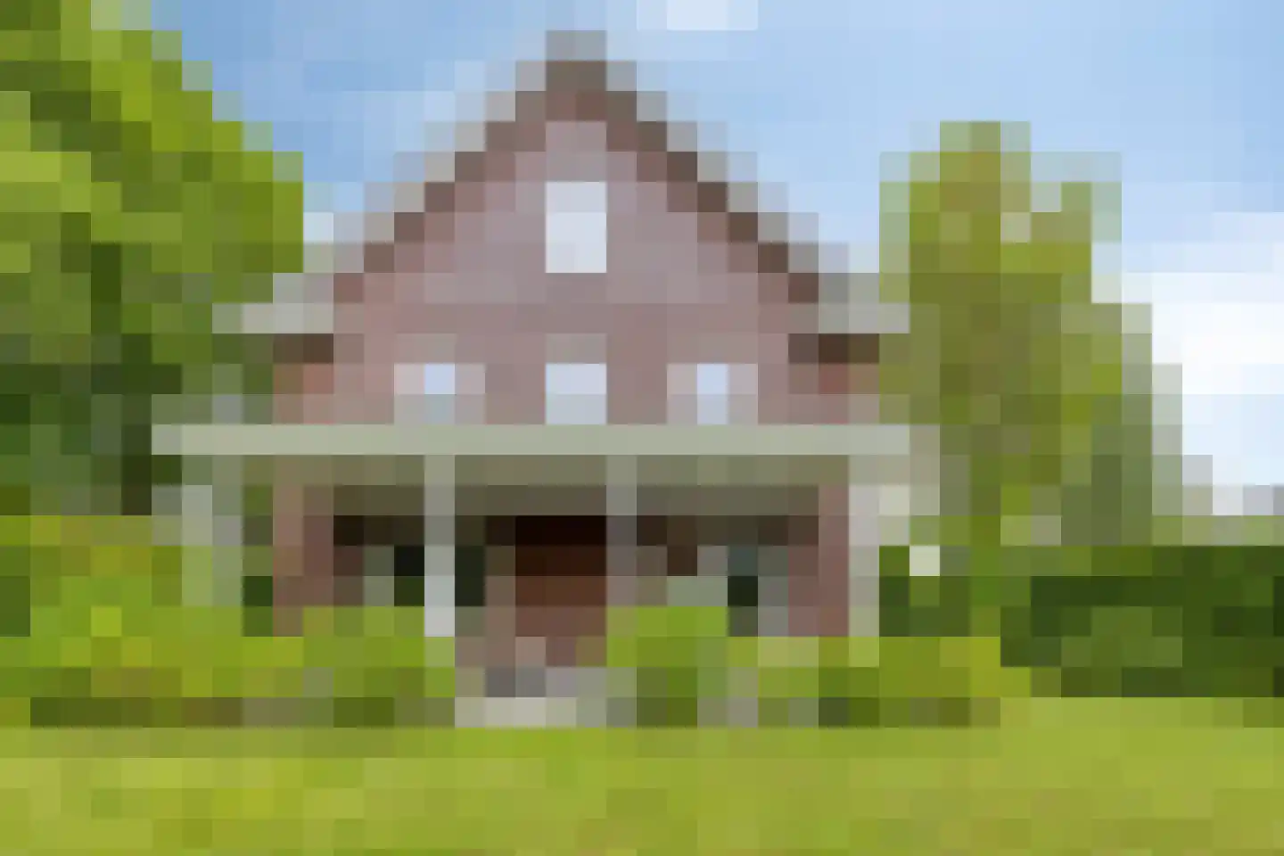Kikstraat 35 Veenendaal thumbnail 5