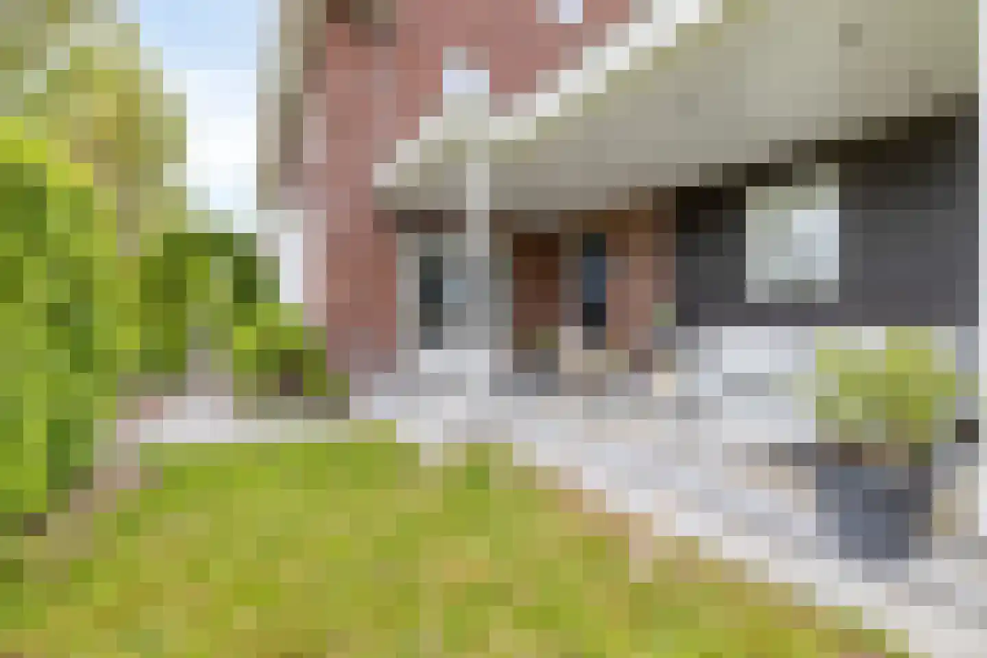Kikstraat 35 Veenendaal thumbnail 51