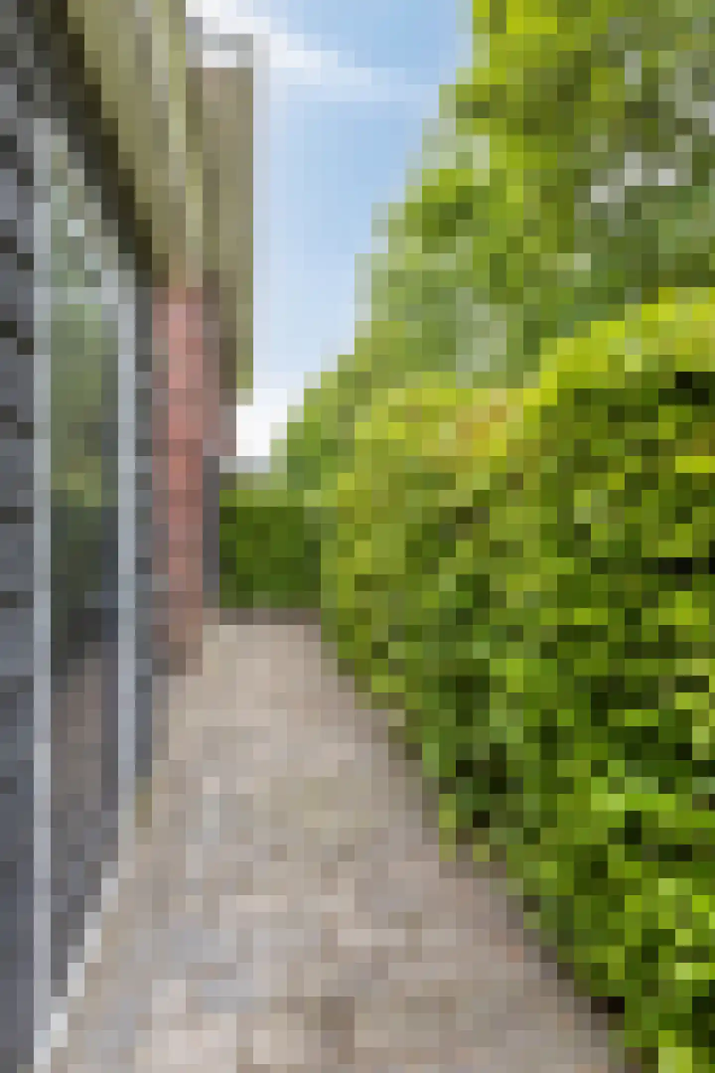 Kikstraat 35 Veenendaal thumbnail 53