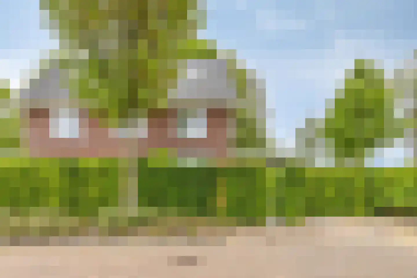 Kikstraat 35 Veenendaal thumbnail 60