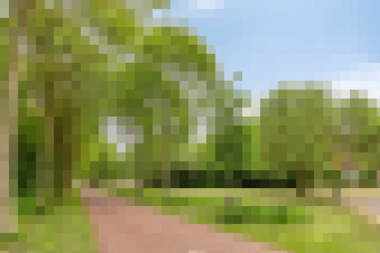 Kikstraat 35 Veenendaal thumbnail 64