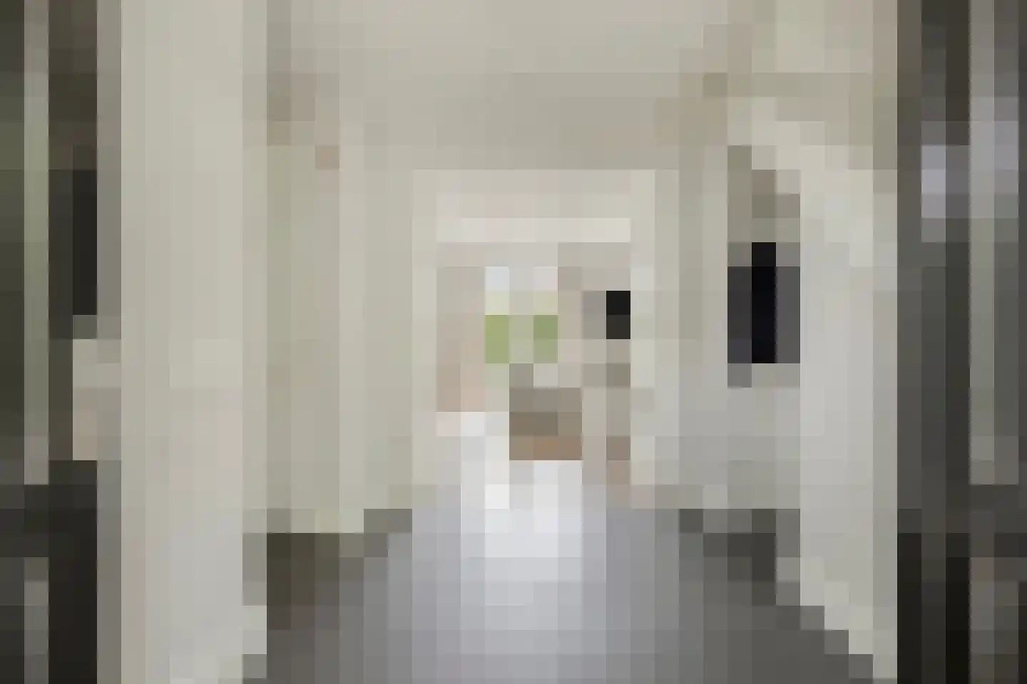 Kikstraat 35 Veenendaal thumbnail 8