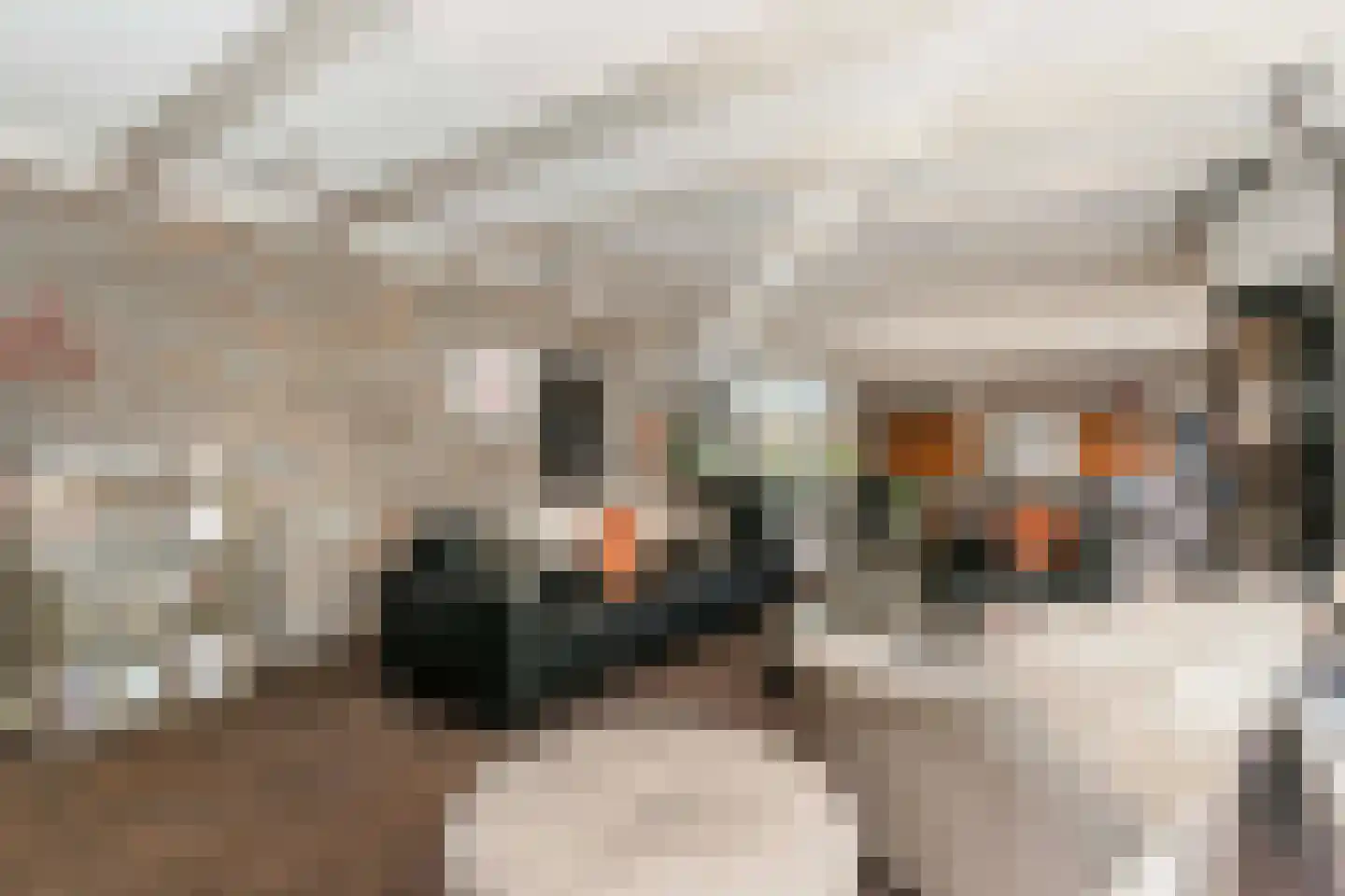 Kikvorsweide 1 Nieuwegein thumbnail 10