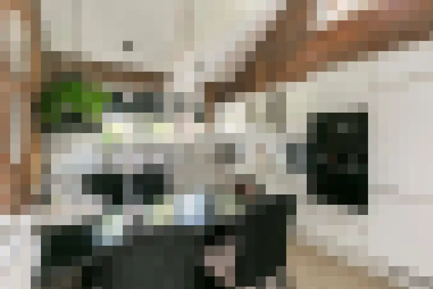 Kikvorsweide 1 Nieuwegein thumbnail 18