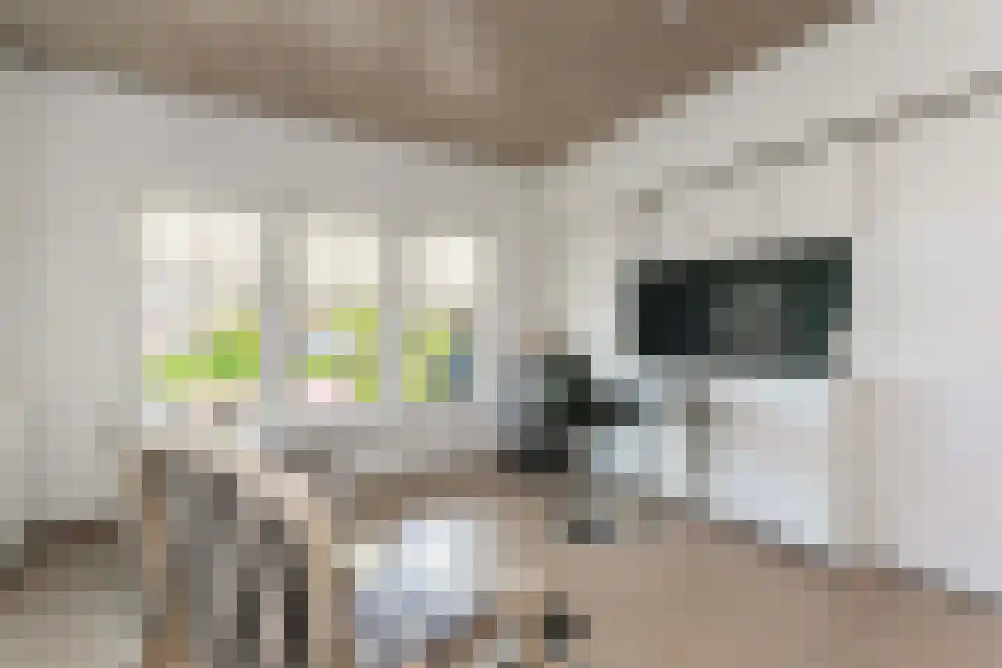 Kikvorsweide 1 Nieuwegein thumbnail 23