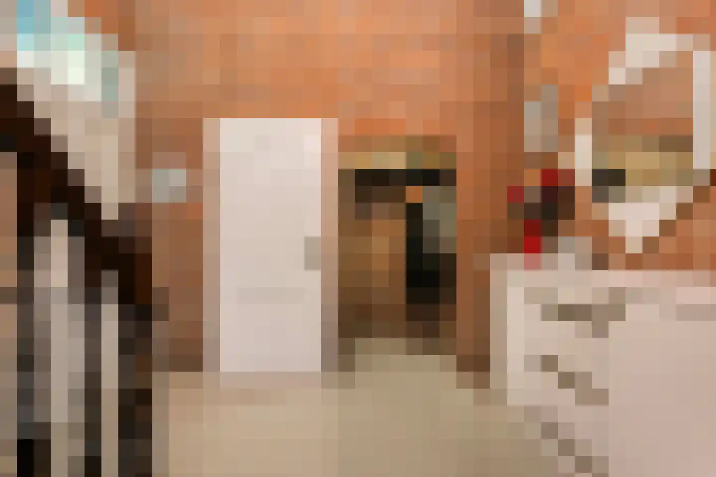 Kikvorsweide 1 Nieuwegein thumbnail 25
