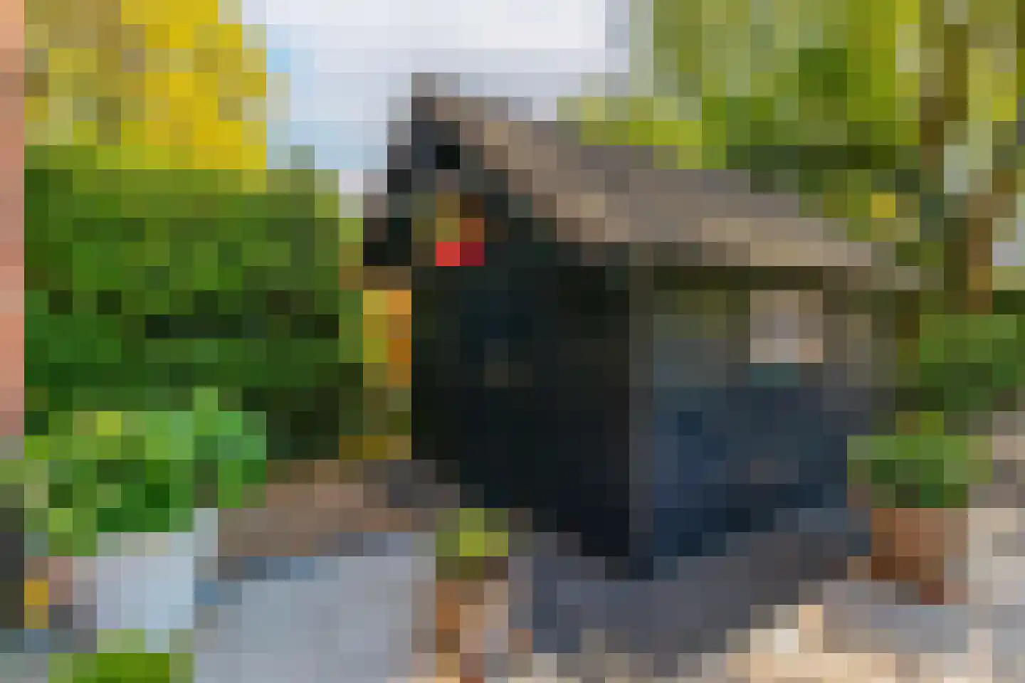 Kikvorsweide 1 Nieuwegein thumbnail 33