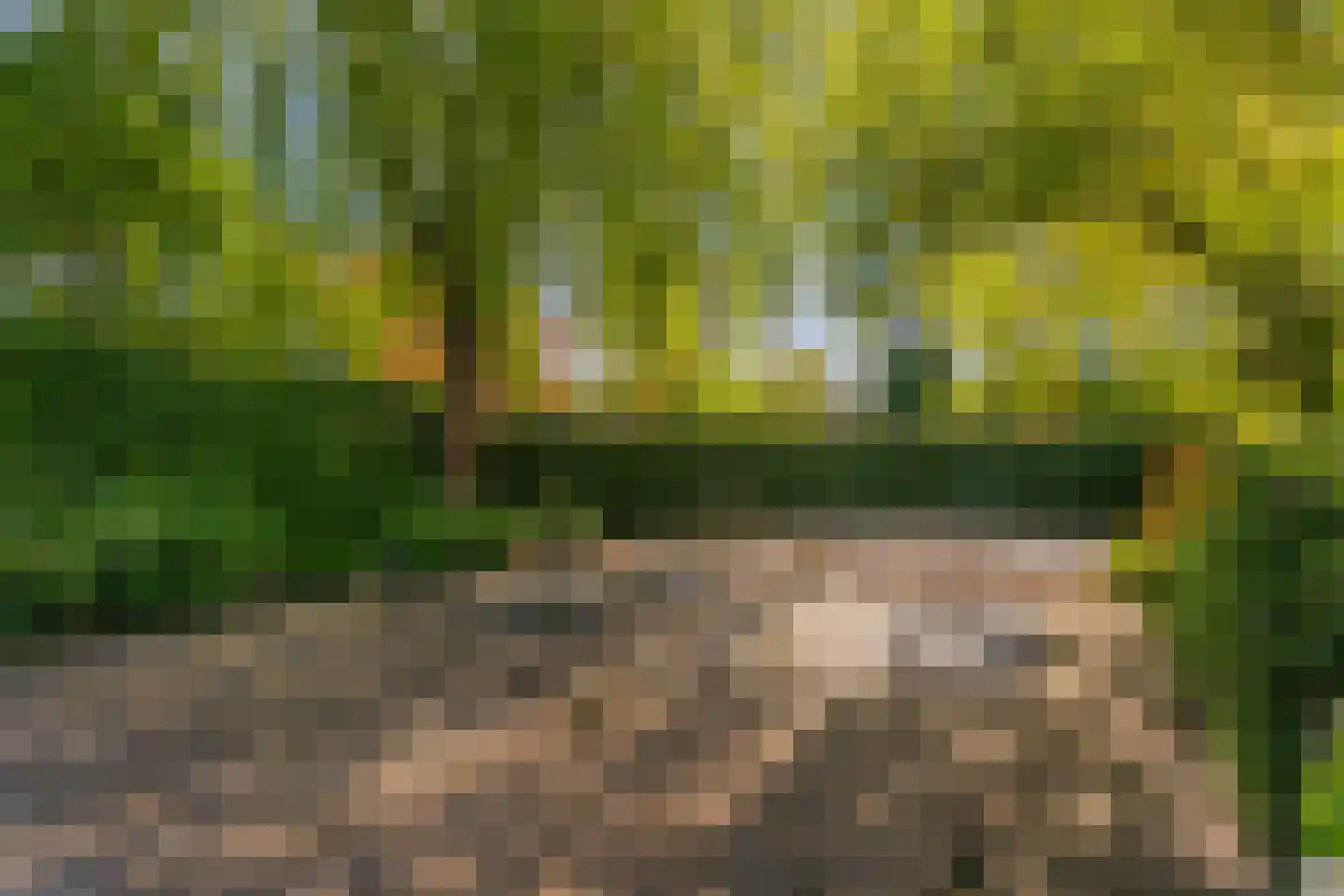 Kikvorsweide 1 Nieuwegein thumbnail 34
