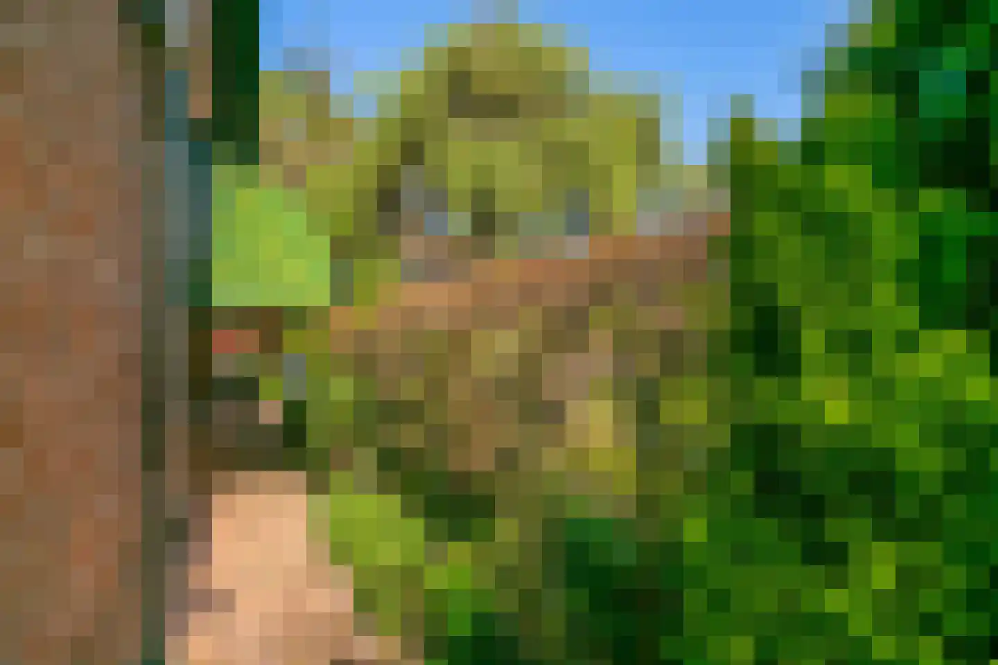 Kikvorsweide 1 Nieuwegein thumbnail 38