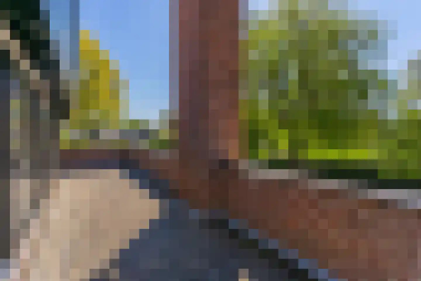 Kikvorsweide 1 Nieuwegein thumbnail 48