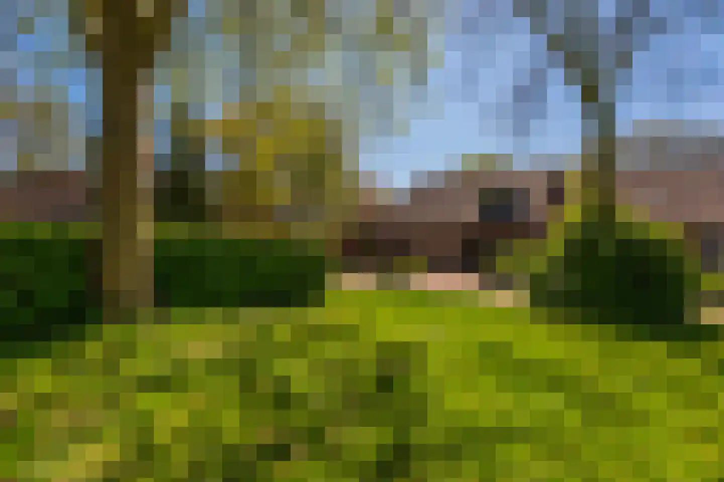 Kikvorsweide 1 Nieuwegein thumbnail 57
