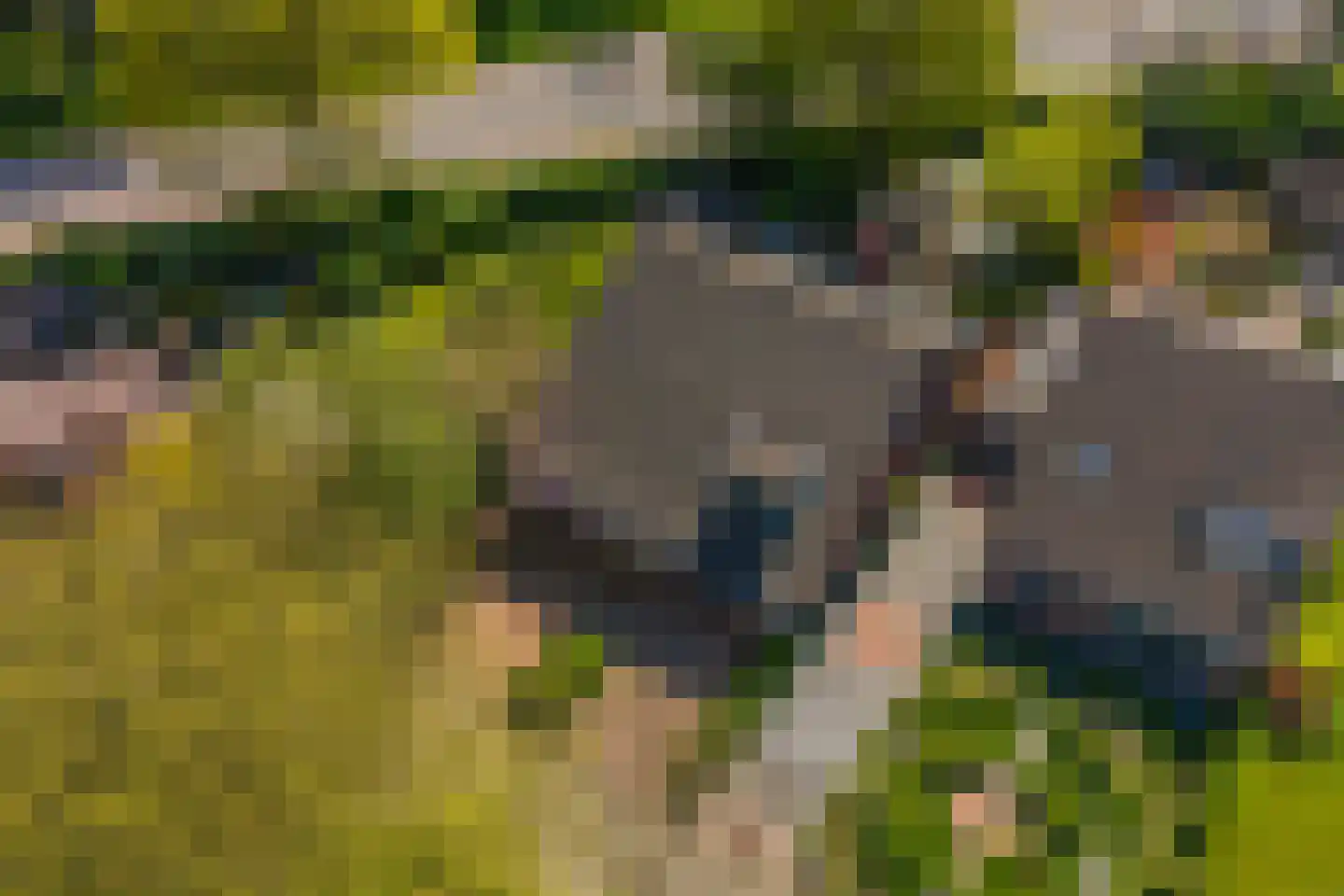 Kikvorsweide 1 Nieuwegein thumbnail 58