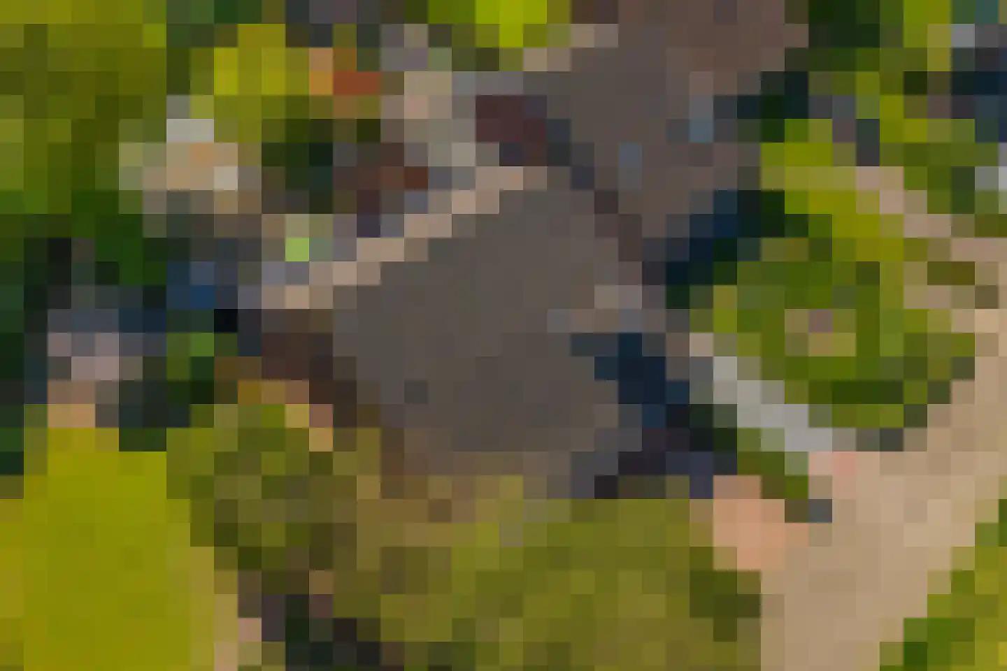 Kikvorsweide 1 Nieuwegein thumbnail 59